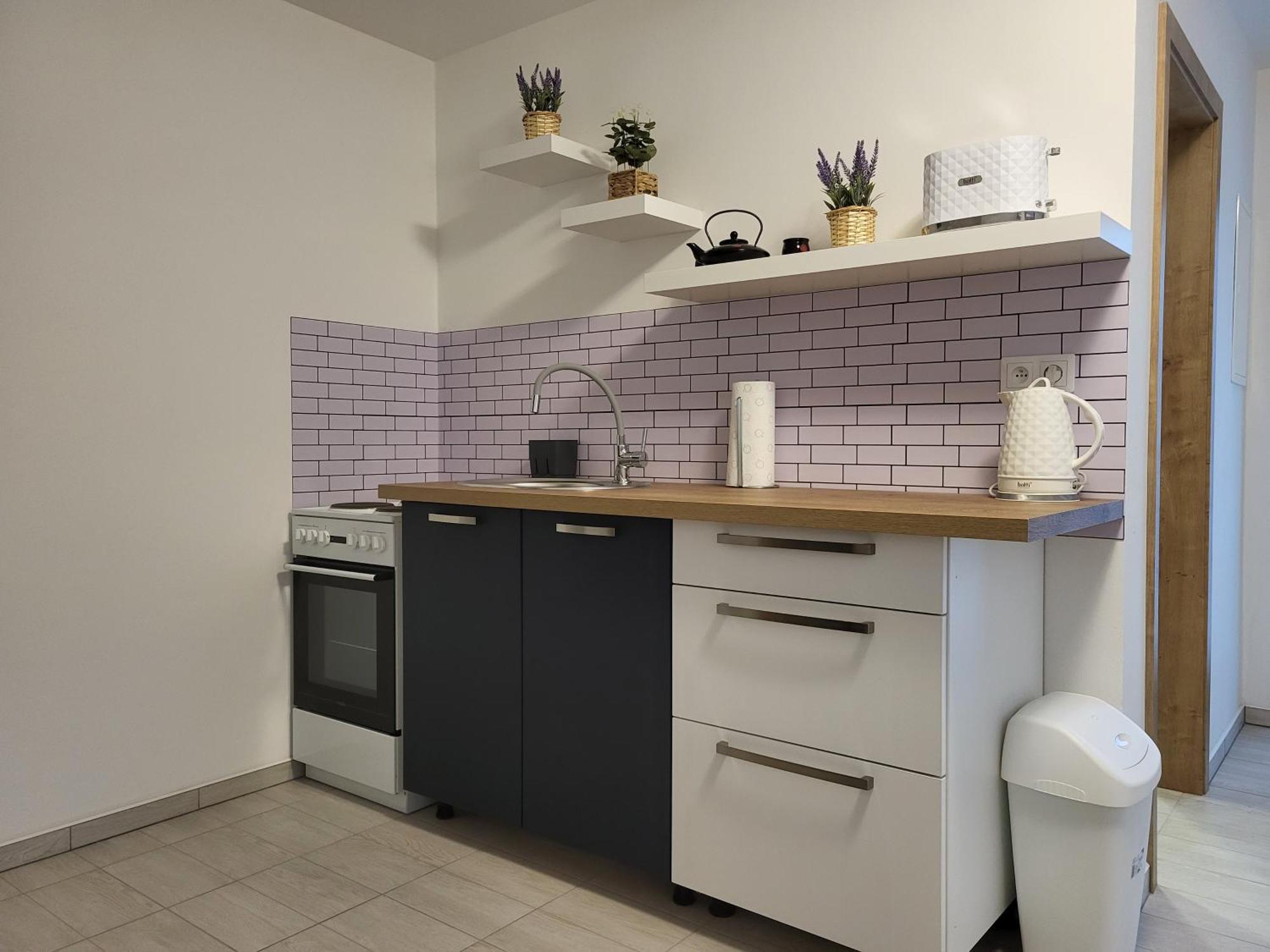 Apartman Na Karlicku Karlov  Exteriér fotografie